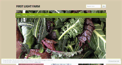 Desktop Screenshot of firstlightcsa.com